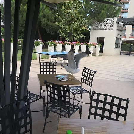 Spacious Studio In 5-star Complex 